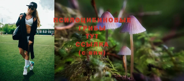 ешки Горнозаводск