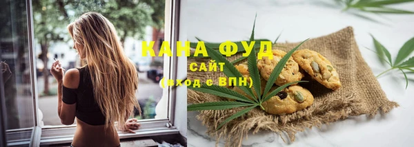 2c-b Горно-Алтайск